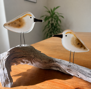Décoration d'oiseau bécasseau