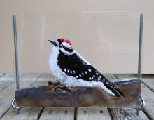 Load image into Gallery viewer, Downy Woodpecker (Juvenile) - Fused Glass Panel in Handforged Iron Stand 
