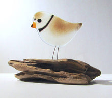 Load image into Gallery viewer, Piping Plover on Driftwood by The Glass Bakery
