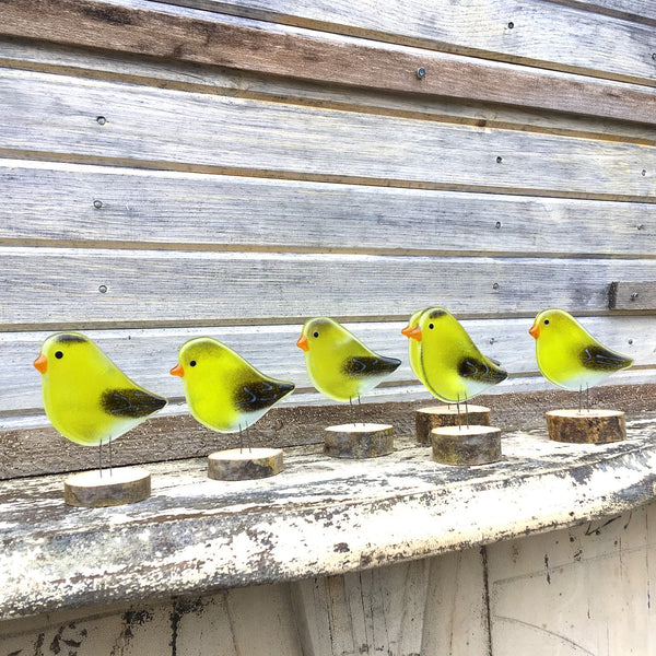 Charger l&#39;image dans la galerie, North American Goldfinches by The Glass Bakery
