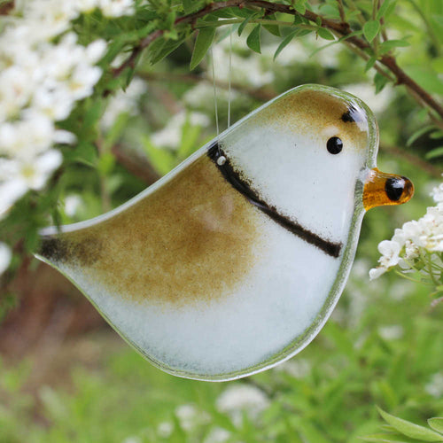 Hanging Fused Glass Piping Plover by The Glass Bakery 