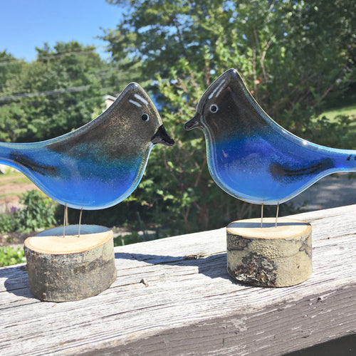 A pair of facing Blue and Black glass Steller's Jay Bird Ornaments