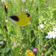 Load image into Gallery viewer, Tiny Glass Goldfinch hangs amongst pretty wildflowers
