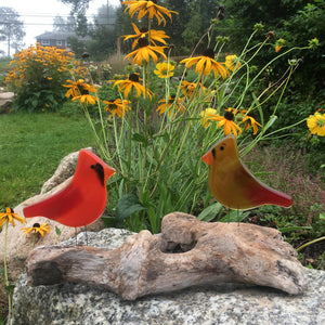 A pair of male and female cardinals made of glass, perch on driftwood in a garden in front of some Black-eyed Susan flowers