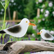 Load image into Gallery viewer, A pair of different sized grey, white and black seagulls with orange beaks, sitting on a perch of driftwood against a backdrop of flowers and ranch fencing.
