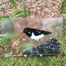 Load image into Gallery viewer, Glass Art Tile &quot;Arctic Tern&quot;
