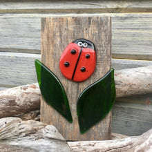 Load image into Gallery viewer, Ladybird (Ladybug) on Barnwood
