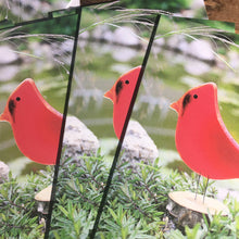 Load image into Gallery viewer, A close up photo of a fan of cardinal cards
