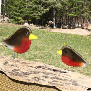 North American Robin Bird Ornament