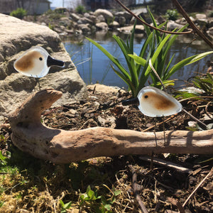 A pair of baby glass sandpipers sit on driftwood in front of a pond.