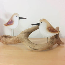 Load image into Gallery viewer, a pair of brown and white glass sandpiper birds are perched on a piece of wriggly driftwood. The driftwood is placed on a wooden table.
