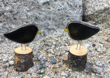 Load image into Gallery viewer, Black Bird Chicks on Live Edge Logs by The Glass Bakery
