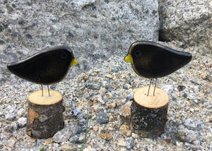 Black Bird Chicks on Live Edge Logs by The Glass Bakery