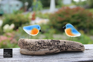 A pair of glass eastern bluebird chicks perched in driftwood.
