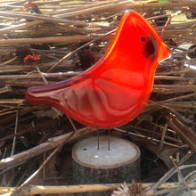 Load image into Gallery viewer, Bright red colourful glass Cardinal bird ornament nestled in reed-like dry grasses. There&#39;s a hint of warm sunshine over his face.
