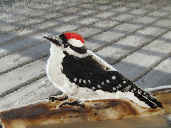Charger l&#39;image dans la galerie, Downy Woodpecker (Juvenile) Glass Art 
