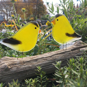 A pair of yellow finches made from fused glass sit on a log. They are in amongst nature.