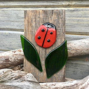 A Fused Glass Ladybug Picture on Driftwood Board 