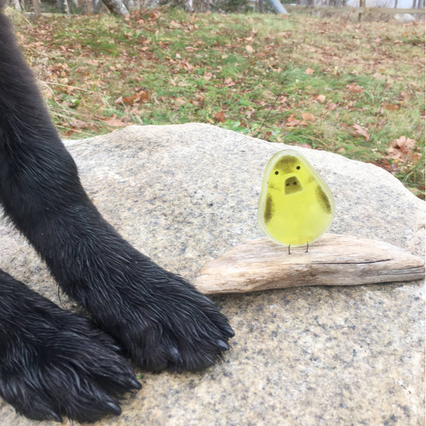 Load image into Gallery viewer, Yellow and Brown Glass Duckling on driftwood. The duck is on a granite rock and next to it are two black dog paws for scale
