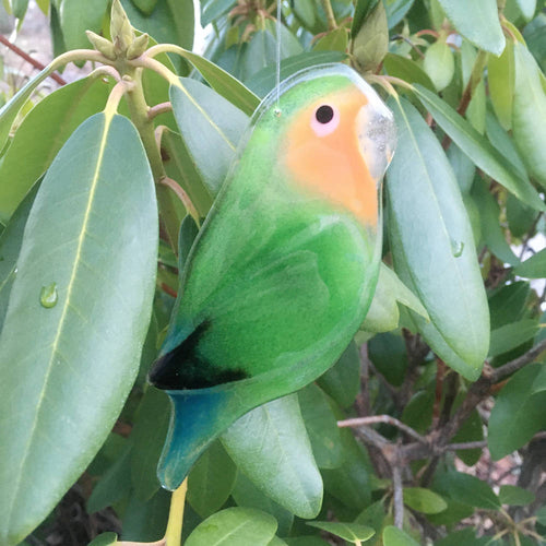 Rosy Faced Lovebird made from Fused Glass