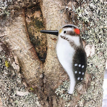 Load image into Gallery viewer, Black and white bird with red head and long pointed beak. Hairy Woodpecker glass ornament

