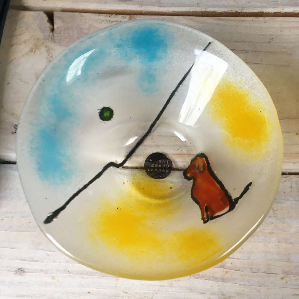 Brown Labrador Dog sits on the beach looking at a green ball in the ocean: glass dish