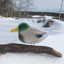 Load image into Gallery viewer, Glass Duck (Mallard) ornament on a piece of driftwood
