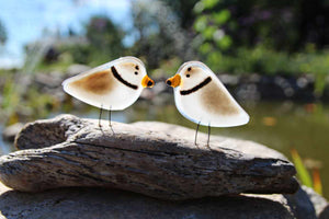 A pair of perched fused glass piping plovers in white and brown with a black neck band. The birds are perched on driftwood.