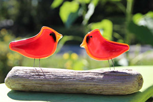Pair of bright red glass cardinal birds, mounted in Driftwood. 