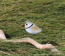 Load image into Gallery viewer, Piping Plover Bird Ornament

