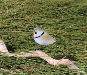 Piping Plover Bird Ornament