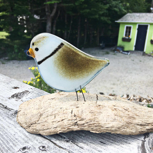Sandy Brown Banded Piping Plover by The Glass Bakery Ltd