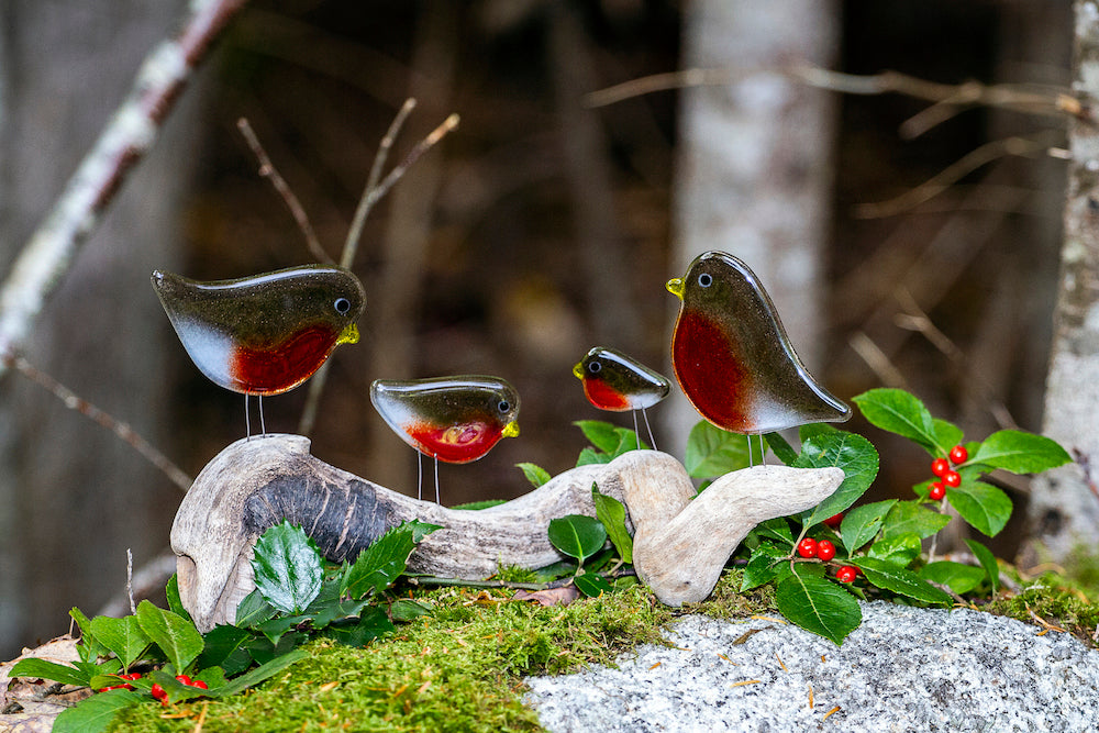 A greetings card featuring a photo of a family of Glass Robins on a mossy rock. 