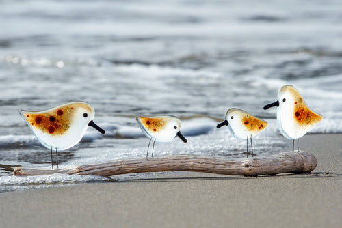 Greetings Card featuring a family of four glass sandpipers on the beach