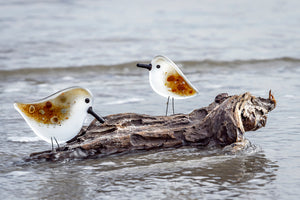 Greetings Card featuring a large and small sandpiper on a piece of driftwood on the edge of the beach