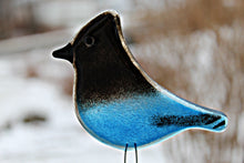 Load image into Gallery viewer, Steller&#39;s Jay Bird Ornament by The Glass Bakery Ltd
