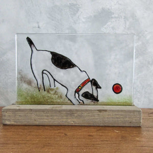 Black and White Terrier Dog Digging for his ball (glass picture)