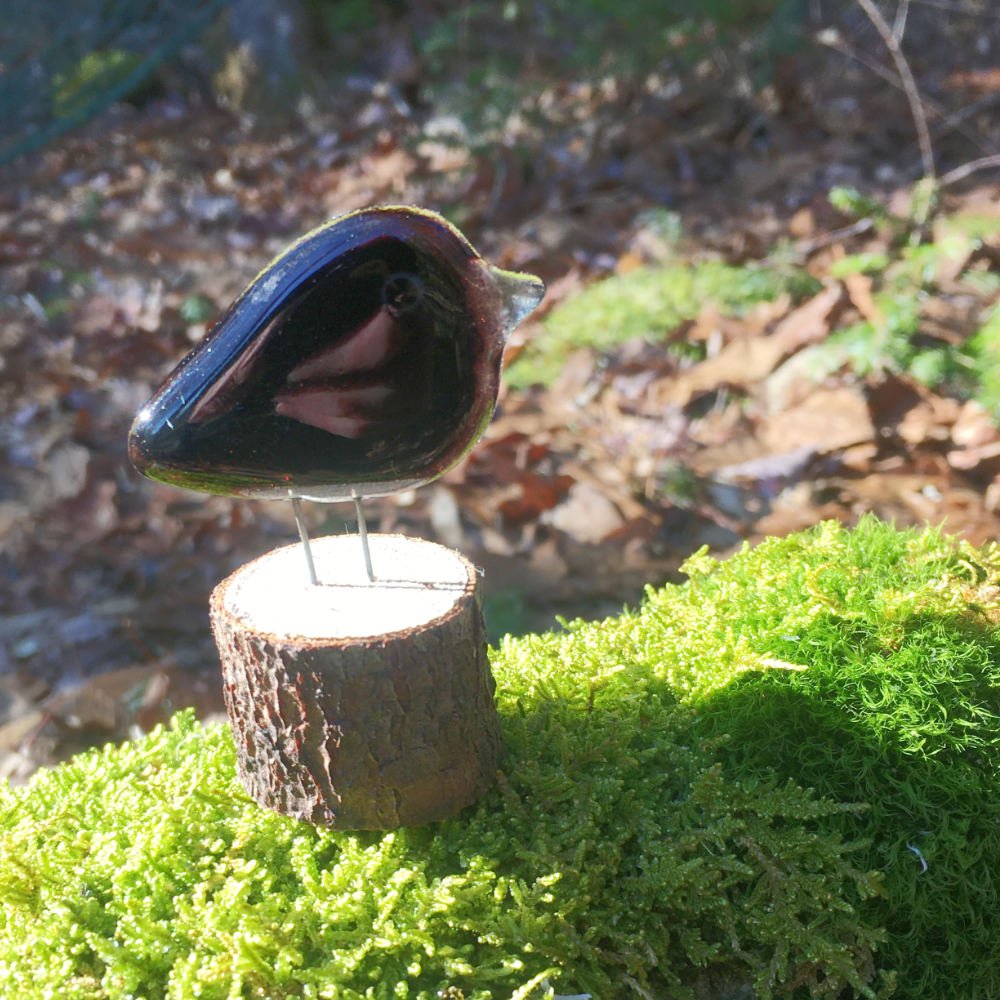 Glass Black Crow sitting on a log in a mossy forest setting