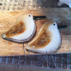 two speckled brown and white glass sandpipers are laying flat on a board in a workshop