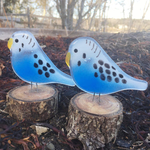 In the foreground, there are two blue and white glass Pied Budgies sitting on log perches. The background is a rural garden scene. 