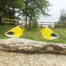 Load image into Gallery viewer, two yellow and black glass bird goldfinch ornaments perch on a driftwood log in front of a grassy scene
