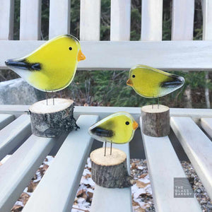 Three charming yellow and black goldfinches made of glass, sit on a garden bench