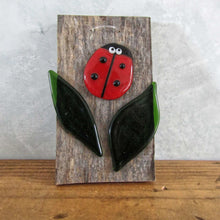 Load image into Gallery viewer, Glass Ladybird on barn wood
