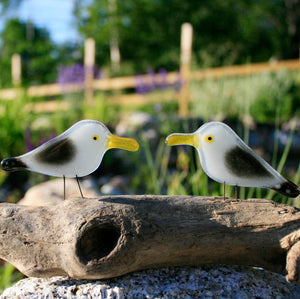 a pair of white and grey seagulls with yellow beaks sit on a perch of driftwood, against a backdrop of pond plants and ranch style fencing