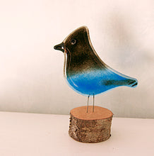 Load image into Gallery viewer, Steller&#39;s Jay bird ornament by The Glass Bakery Ltd

