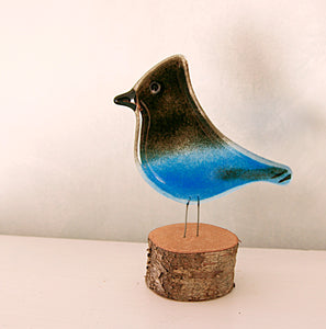 Steller's Jay bird ornament by The Glass Bakery Ltd